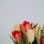 pexels-lilartsy-2058498 (1)