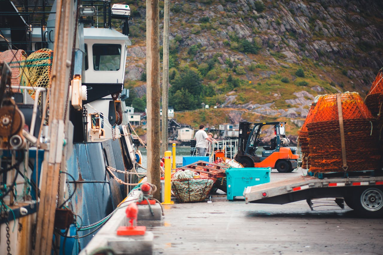 Fishing Dock and Equipment